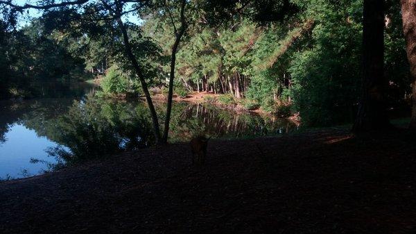 One of the many pretty ponds you can find.