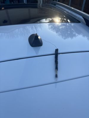 Snapped antenna.