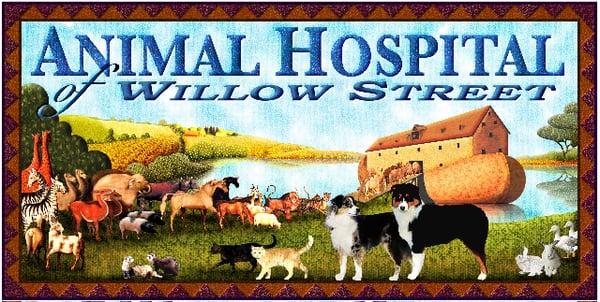 Animal Hospital Of Willow Street