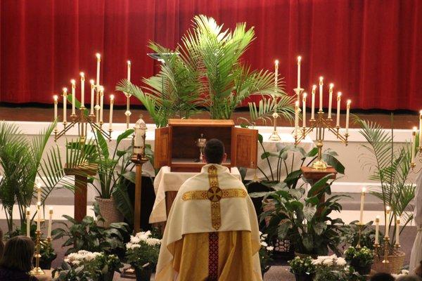 Holy Thursday Adoration