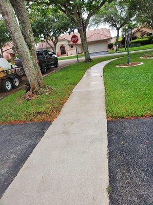 Zero Pressure Roof Cleaning