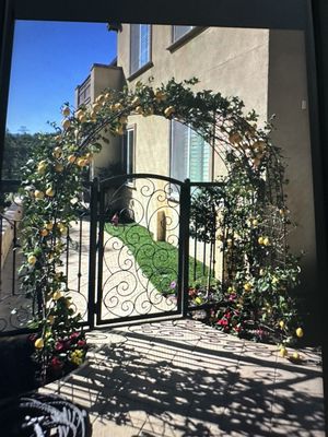 Flowers & lemon arbor