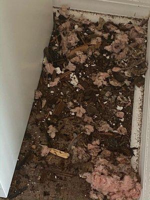 Realtor covered up mold. She took property off MLS, removed moldy furniture, painted and relisted for sale. This is illegal in Florida.