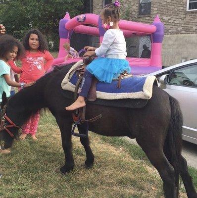 Gift your child a new experience one they will remember forever by booking our Pony rides or petting zoo