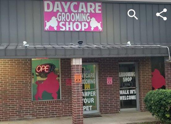 Daycare dog grooming