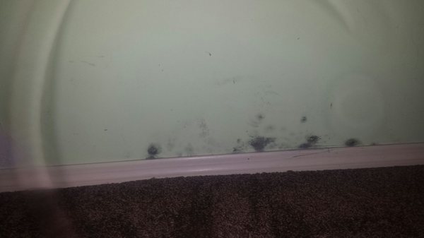 Black mold thanks to lack of maintenance