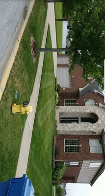 Lawn services