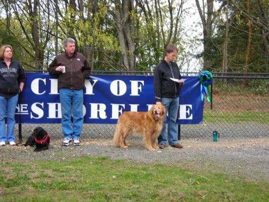 Shoreview Off-Leash Park