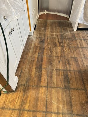 Hardwood Floors By Gus