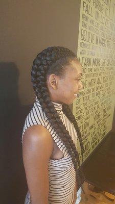 Double Braids (Proctective Styles)