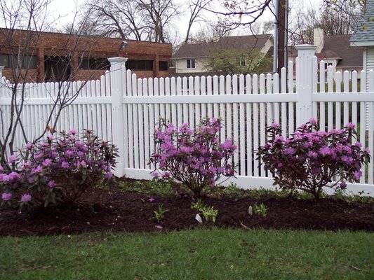 Clean ups and mulch