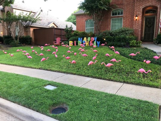 Don's Flamingo Farm