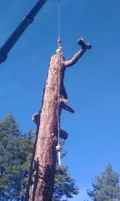 Hill Top Tree Service