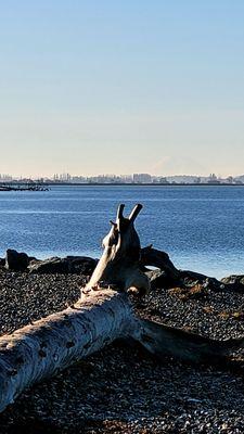 Bay View State Park