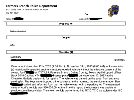 Police report summary