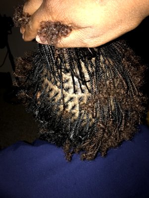 Braidlocs by Candice