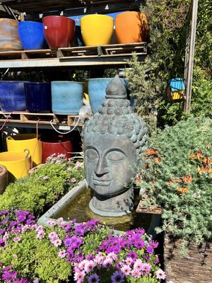 Outdoor garden area, you can see bees drinking water from the fountains