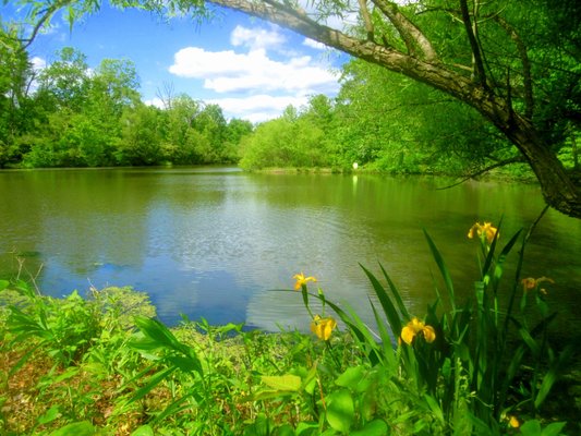 Another view of the lake