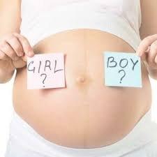 Gender reveal