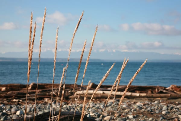 Mary Matthew, Whidbey Island Broker