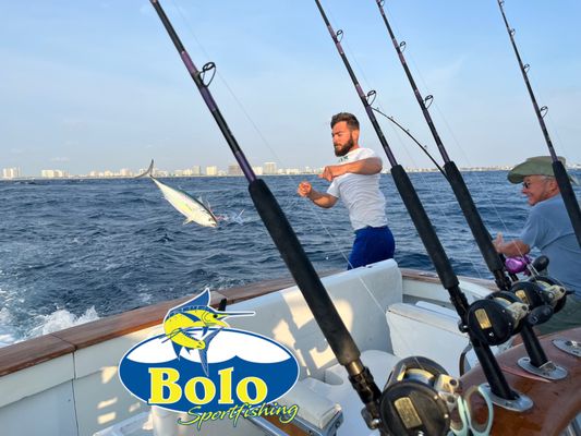 black fin tuna coming on BOLO #bolosportfishing #fishbolo #captaingeorgedisbury #sportfishingchartersdeerfieldbeachfl