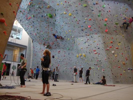 More Climbing Routes availabe at Movement Climbing & Fitness BOULDER March 2nd 2013 visit.