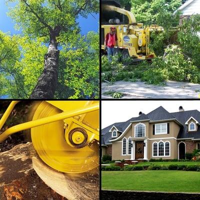 Sacramento Tree Service Pros