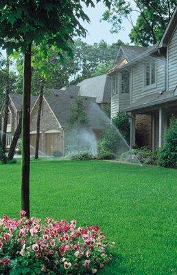 Advanced Irrigation Systems & Creative Outdoor Lighting