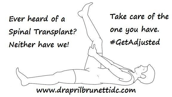 Have you ever heard of a spinal transplant?  Neither have we.  Take care of the one you have.