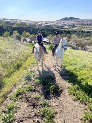 Mountain Meadows Stables