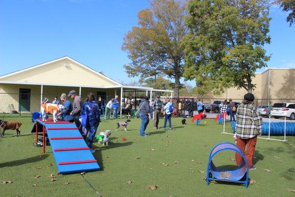 Annual Open House & Fall Festival