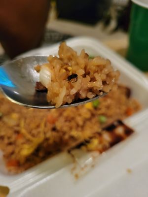 House fried rice