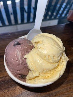 Black Raspberry Truffle and Jewel of India ice cream