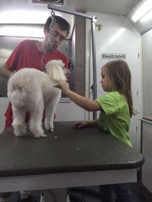 Lilly helping mom groom clients dog