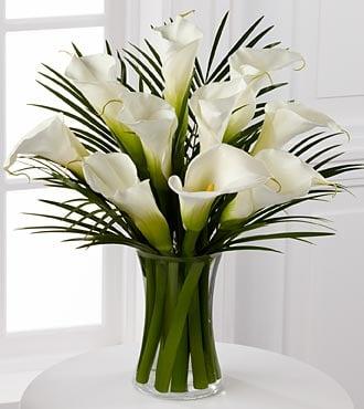 Stunning Calla Lilies