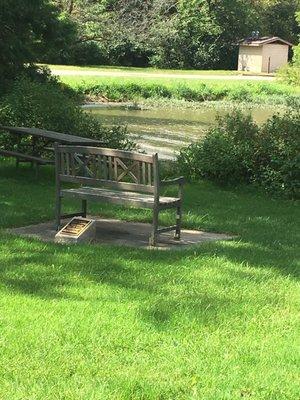 Lookout benches