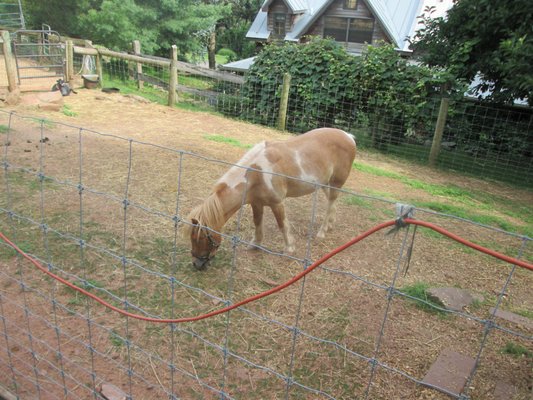 Not sure if the small area of barnyard animals was part of the campground as it wasn't on the map but it was clean and the animals wellkept.