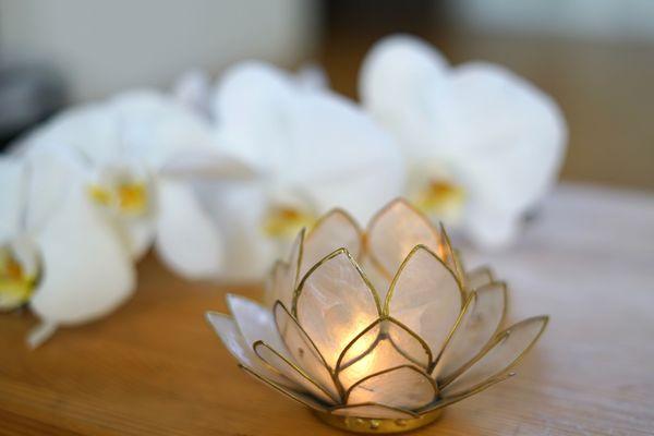 A Sanctuary For Body Mind & Soul - offering Ayurvedic Wellness, Bodywork & Private Yoga