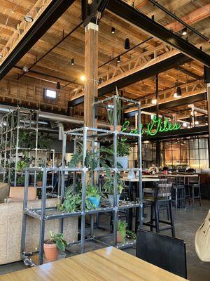 The bar is at the back & the plants are displayed in these industrial shelves to break up the huge space