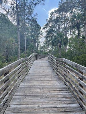 Cypress Creek Nature Preserve