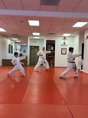 Traditional Karate and Aikido