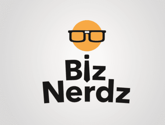 BizNerdz Logo