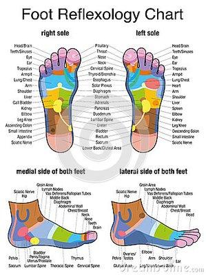 Chart showing relationship of pressure points to the structures of the body.