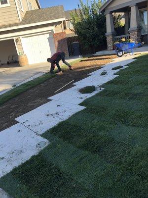 Installing sod