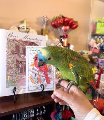 Harriet checking out the Backyard Birds of the Hudson Valley coloring book.