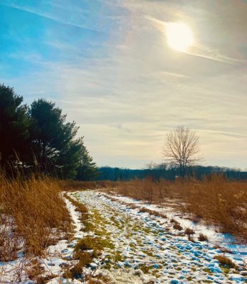 Gwynedd Preserve