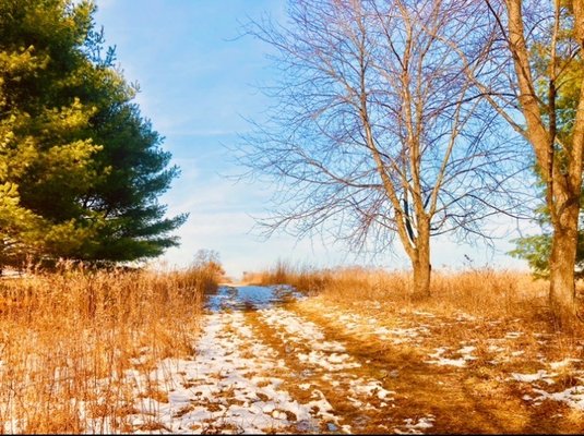 Gwynedd Preserve