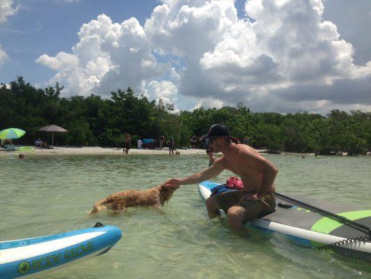 Visiting with dogs at Lee County Bonita Dog Beach tour on Lovers Key