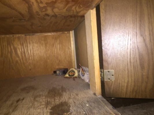 Mouse traps that I found under kitchen cabinet