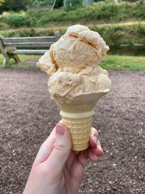 Pumpkin ice cream